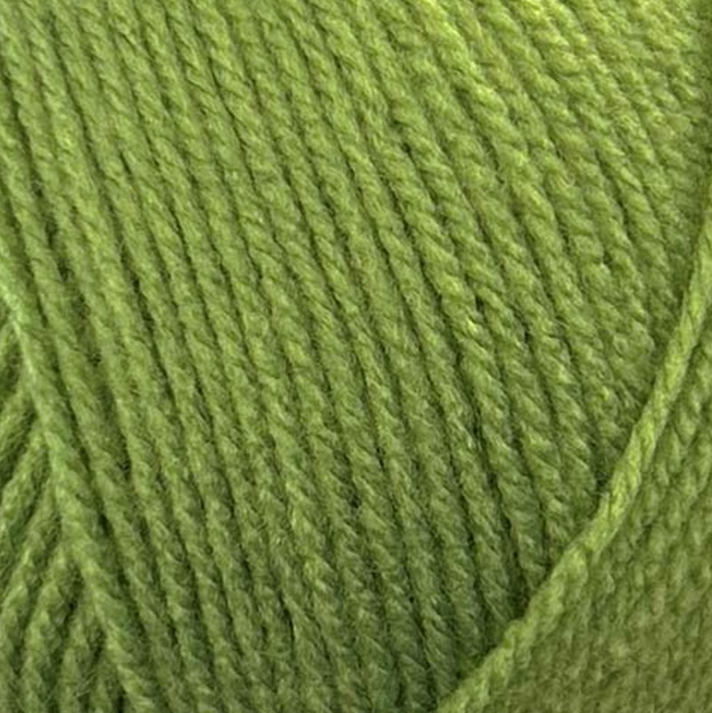Stylecraft Special DK Leaf 2176