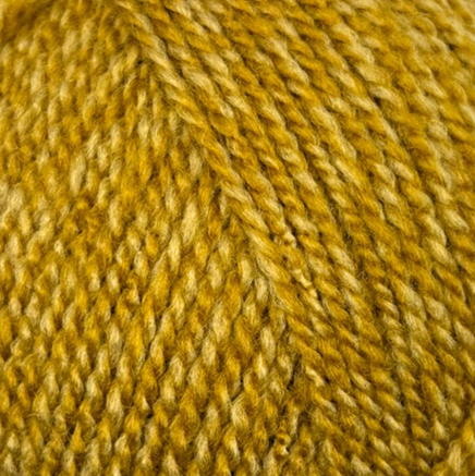 Stylecraft Special DK Honey Mix 2194