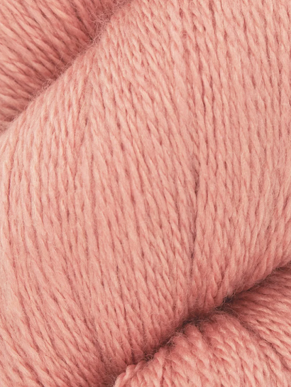 Exquisite Lace