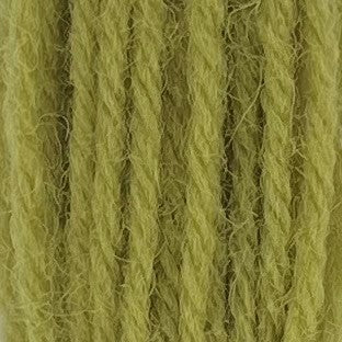 Appletons Crewel Wool 2 Ply 251 Grass Green skein