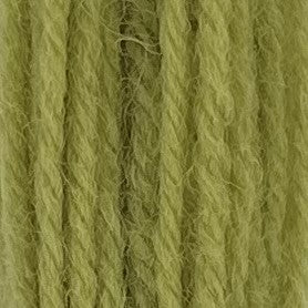 Appletons Crewel Wool 2 Ply 251A Grass Green skein
