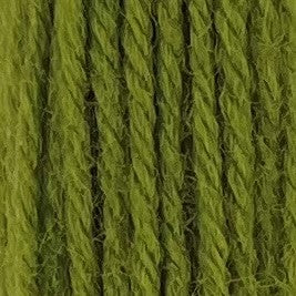 Appletons Crewel Wool 2 Ply 254 Grass Green skein