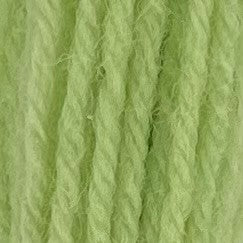 Appletons Crewel Wool 2 Ply 421 Leaf Green skein