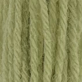 Appletons Crewel Wool 2 Ply 541 Early English Green skein