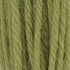 Appletons Tapestry Wool 4 Ply 542 Early English Green skein