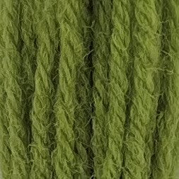 Appletons Tapestry Wool 4 Ply 544 Early English Green skein