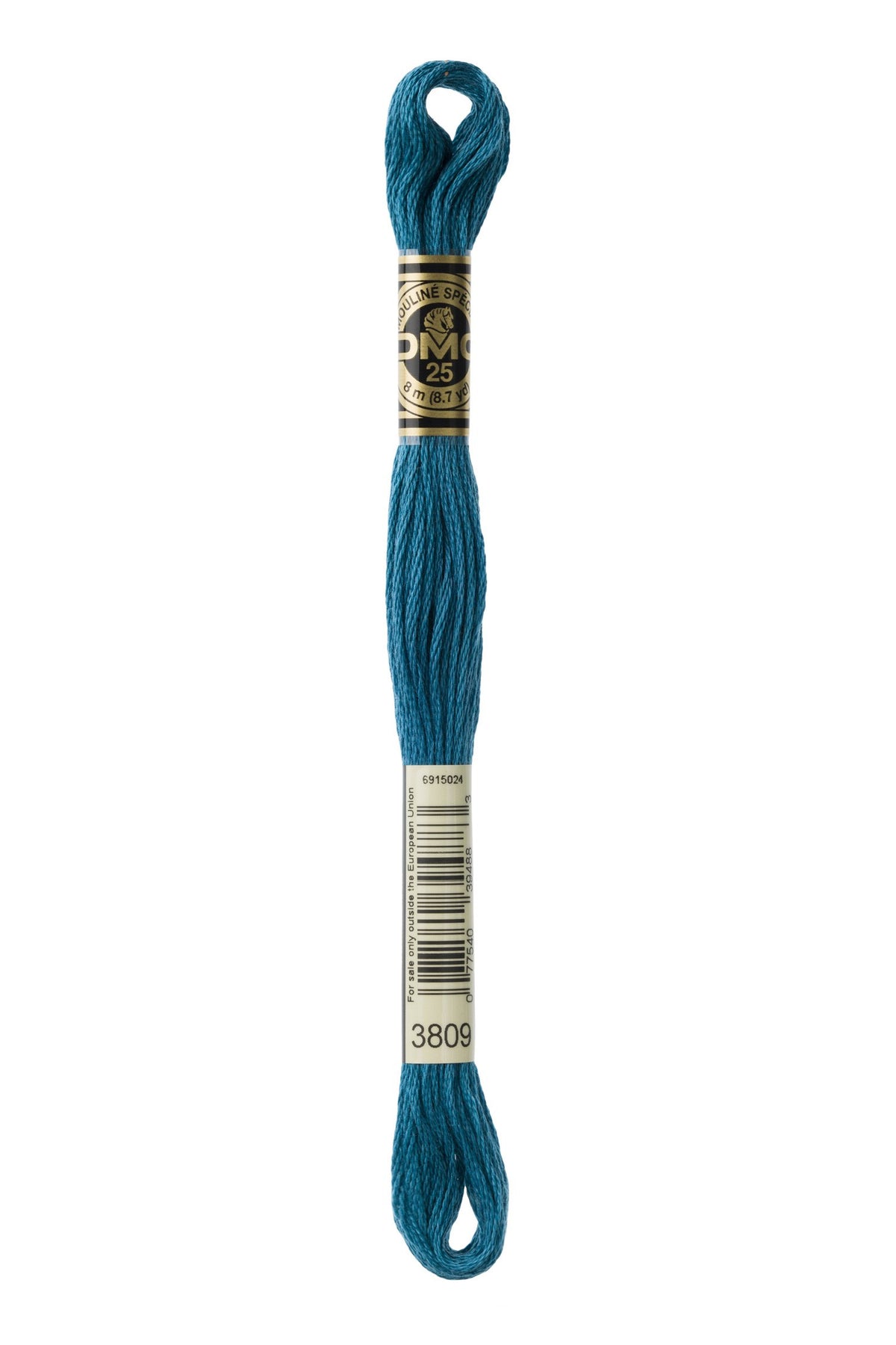 DMC Mouliné Stranded Cotton 3809 Turquoise Very Dark