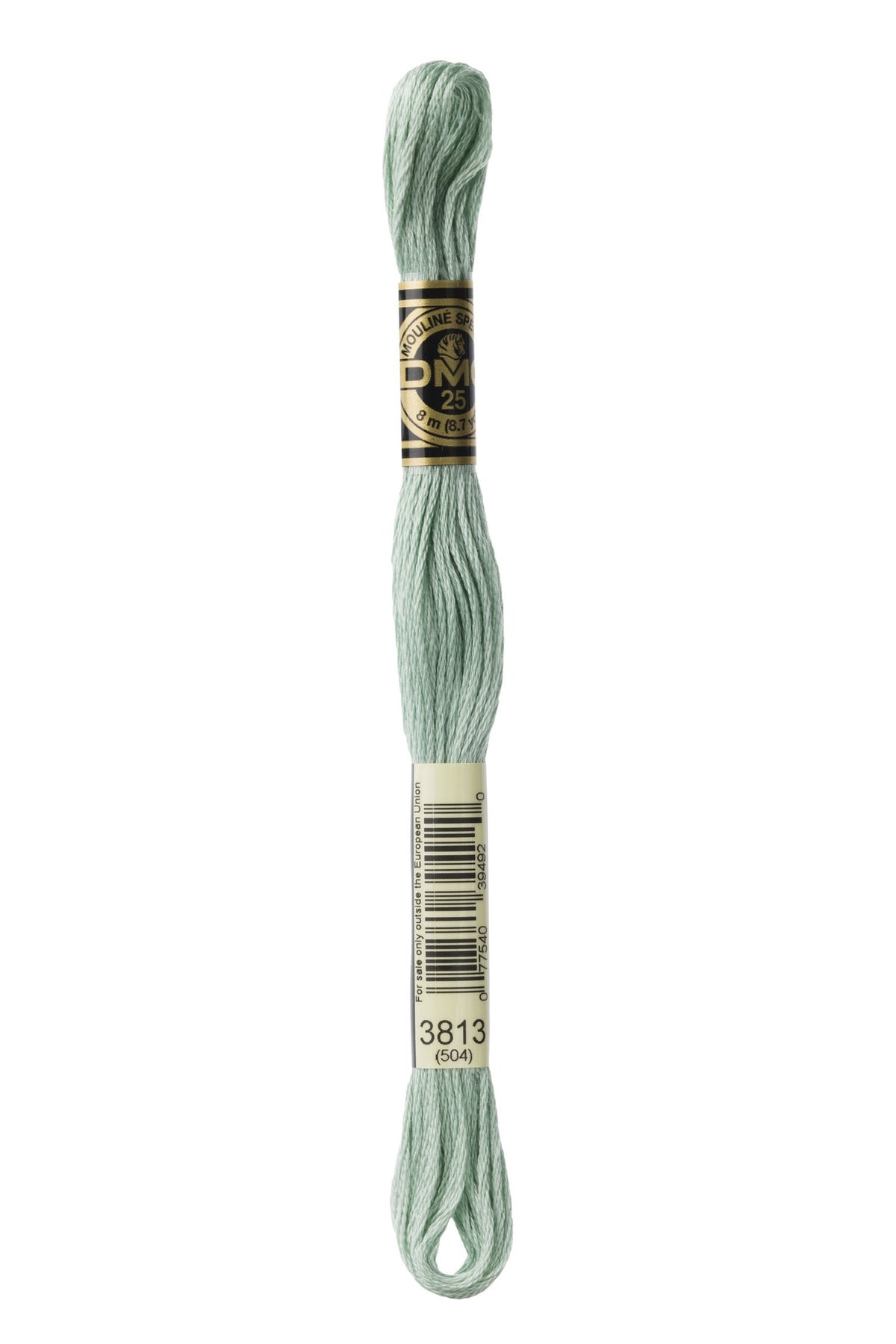 DMC Mouliné Stranded Cotton 3813 Blue Green Light