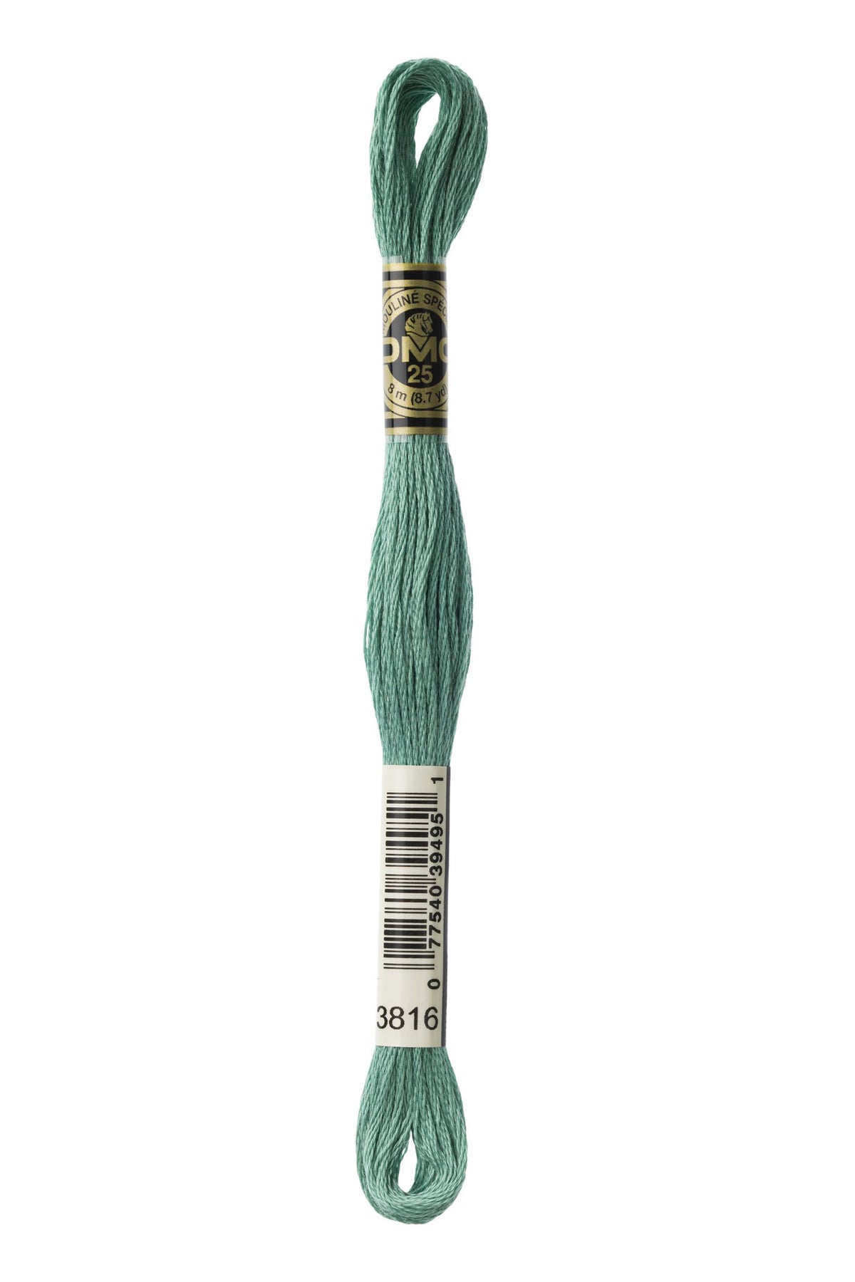 DMC Mouliné Stranded Cotton 3816 Celadon Green
