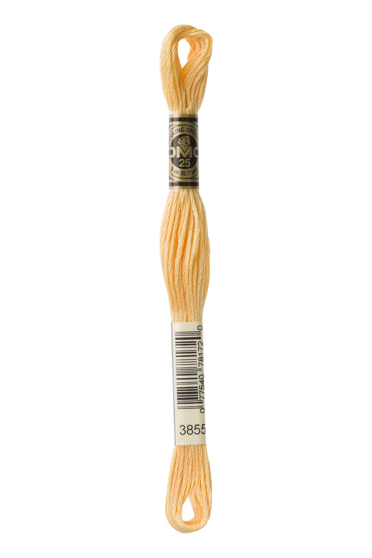 DMC Mouliné Stranded Cotton 3855 Autumn Gold Light