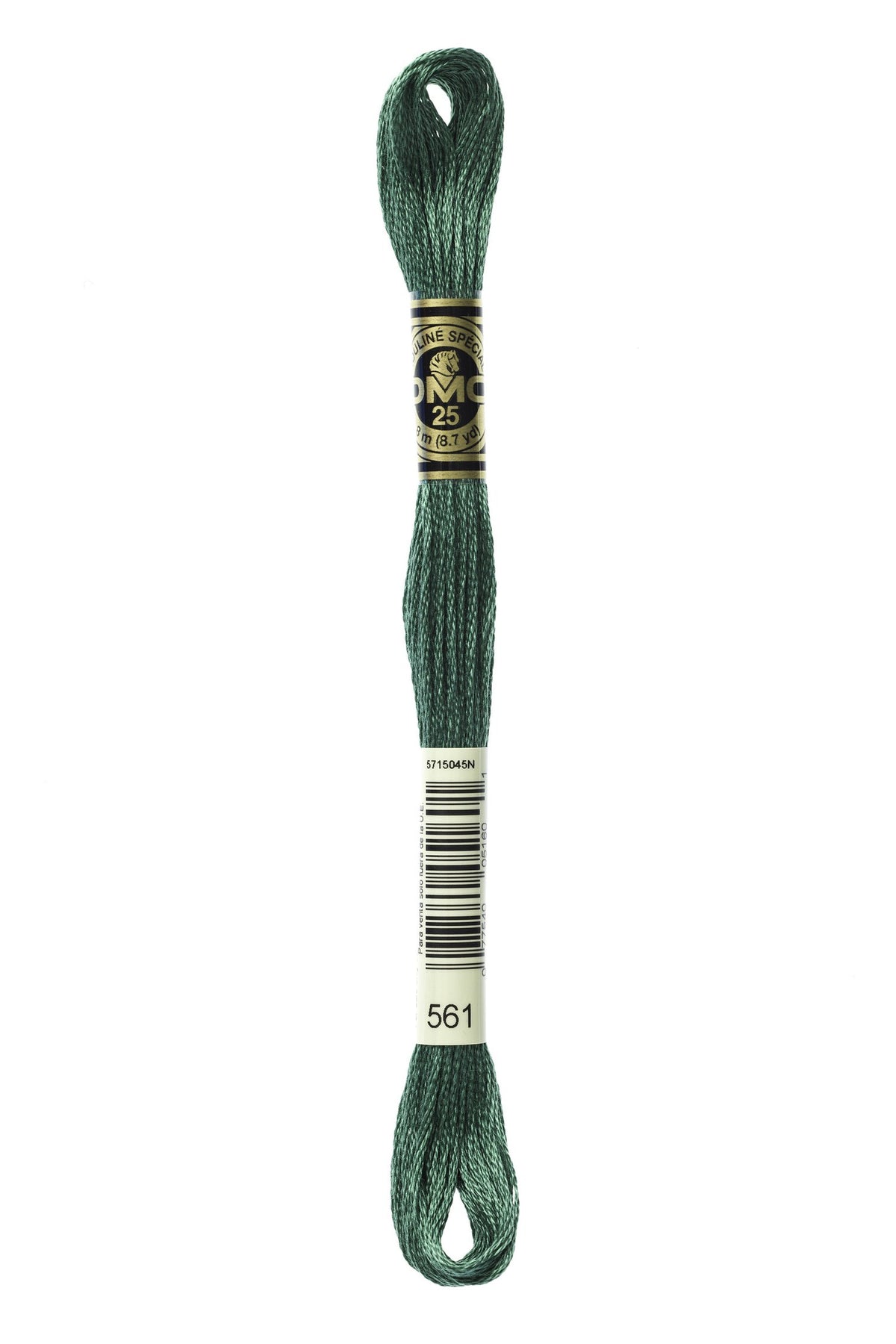 DMC Mouliné Stranded Cotton 561 Celadon Green Very Dark
