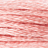 DMC 224 Shell Pink Very Light