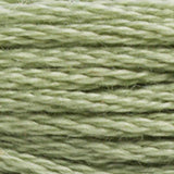 DMC 3053 Green Gray