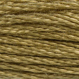 DMC 371 Mustard