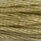 DMC 372 Mustard Light
