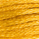 DMC 3820 Straw Dark