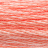 DMC 3824 Apricot Light