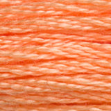 DMC 3825 Pumpkin Pale