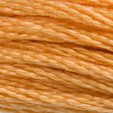 DMC 3827 Golden Brown Pale
