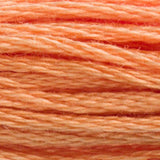 DMC 402 Mahogany Very Light