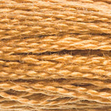 DMC 420 Hazelnut Brown Dark