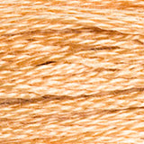 DMC 437 Tan Light