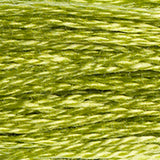 DMC 471 Avocado Green Very Light