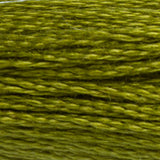 DMC 580 Moss Green Dark
