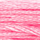 DMC 604 Cranberry Light