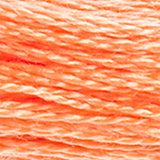 DMC 722 Orange Spice Light