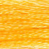 DMC 725 Topaz Medium Light