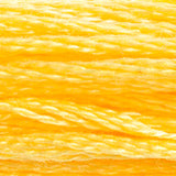 DMC 726 Topaz Light