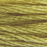 DMC 734 Olive Green Light
