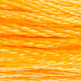 DMC 742 Tangerine Light