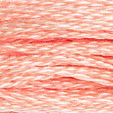 DMC 754 Peach Light