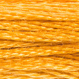 DMC 783 Topaz Medium