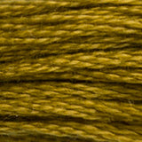 DMC 831 Golden Olive Medium