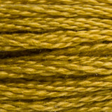 DMC 832 Golden Olive