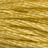 DMC 834 Golden Olive Very Light