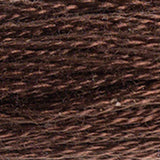 DMC 838 Beige Brown Very Dark
