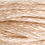 DMC 842 Beige Brown Very Light