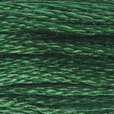 DMC 895 Hunter Green Very Dark