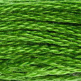 DMC 905 Parrot Green Dark