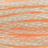 DMC 951 Tawny Light
