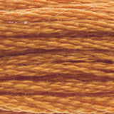 DMC 976 Golden Brown Medium