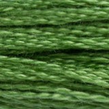 DMC 988 Forest Green Medium