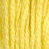 DMC 17 Yellow Plum Light