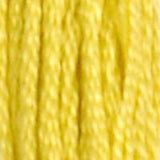 DMC 18 Yellow Plum