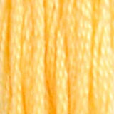 DMC 19 Autumn Gold Medium Light