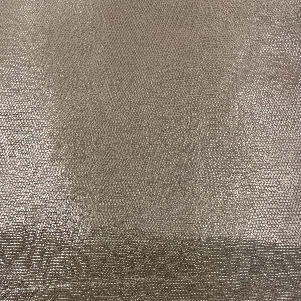 Grey Shiny Vinyl